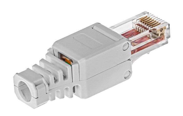 wtyk RJ45